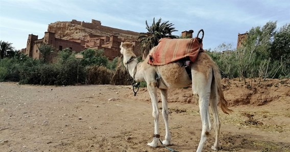 vista de ait_ben_haddou