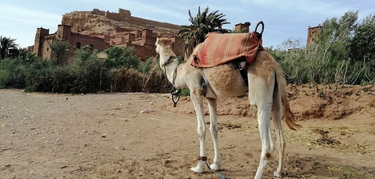 Gran tour de Marruecos 9 días desde Tánger a Tánger