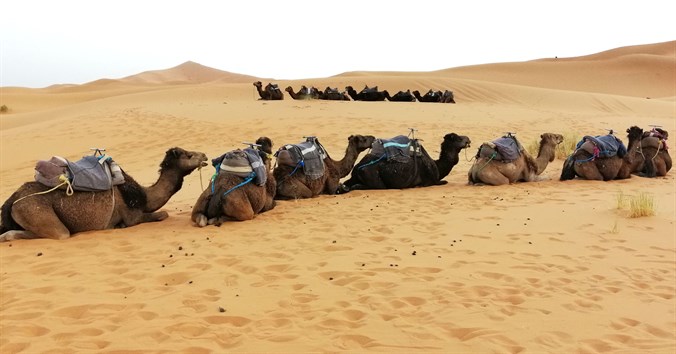 desierto_sahara_marruecos