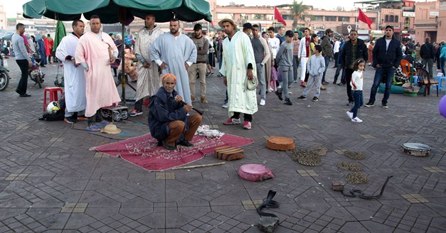 plaza_serpientes_marrakech