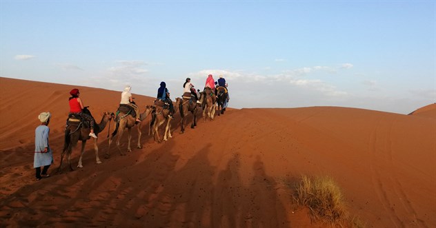 paseo a camello en las dunas