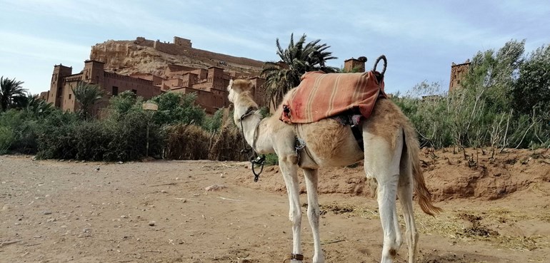 Gran Tour a Marruecos desde Tarifa Semana Santa