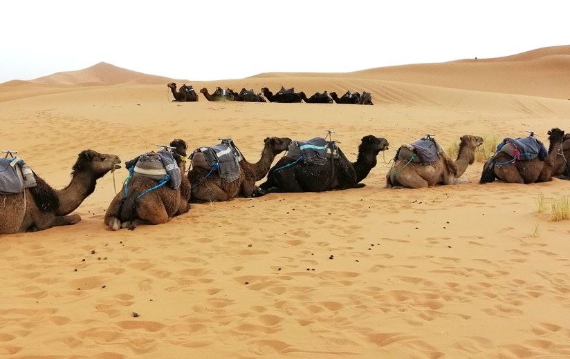 Viaje al Sahara. Fin de año