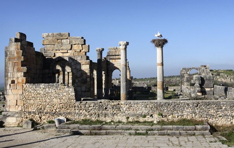 Fez, Meknes, Volubilis y Chefchaouen