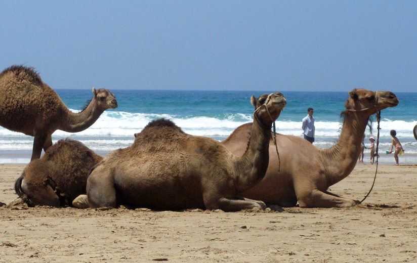 Escapada Norte de Marruecos 5 días en avión