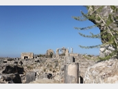 Volubilis 2
