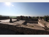 Volubilis 5