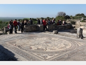 Volubilis 6
