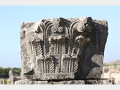 Volubilis 7