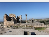 Volubilis 10