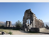 Volubilis 12