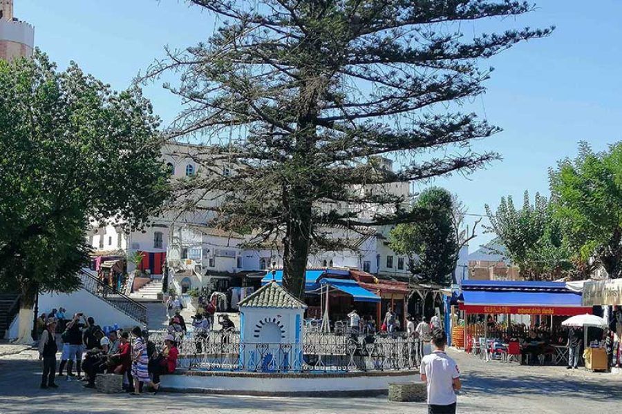 Plaza central de Chefchaouen con fuente ornamental, café al aire libre y minarete al fondo