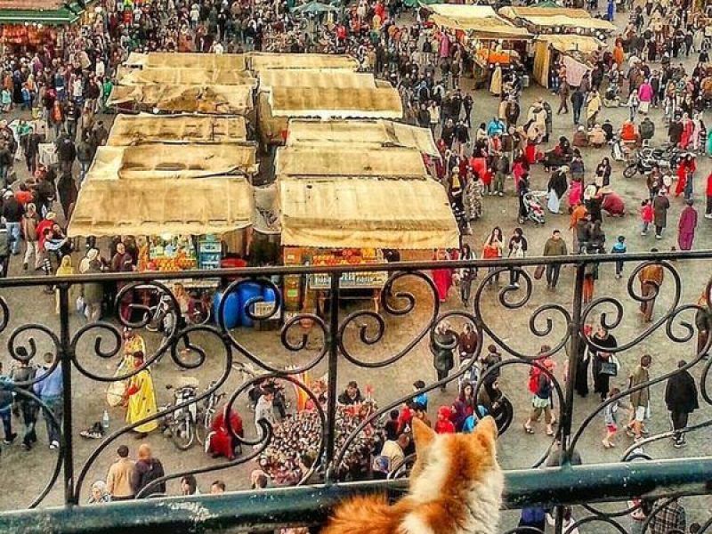 Plaza Yamaa el Fna durante viaje a Marrakech con puestos de zumos de frutas y restaurantes callejeros