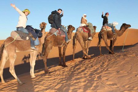 Turistas montando camellos en caravana al atardecer en el desierto, tour de 7 días por Marruecos.
