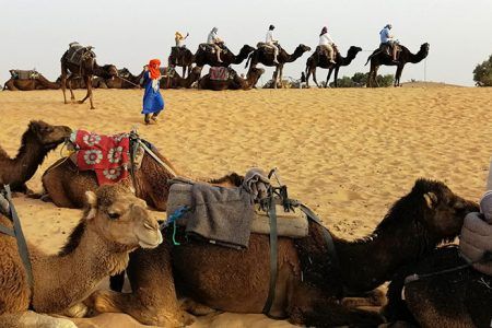 Viajeros montando camellos en caravana por las dunas del desierto de Merzouga cerca de Marrakech, con guía bereber en primer plano