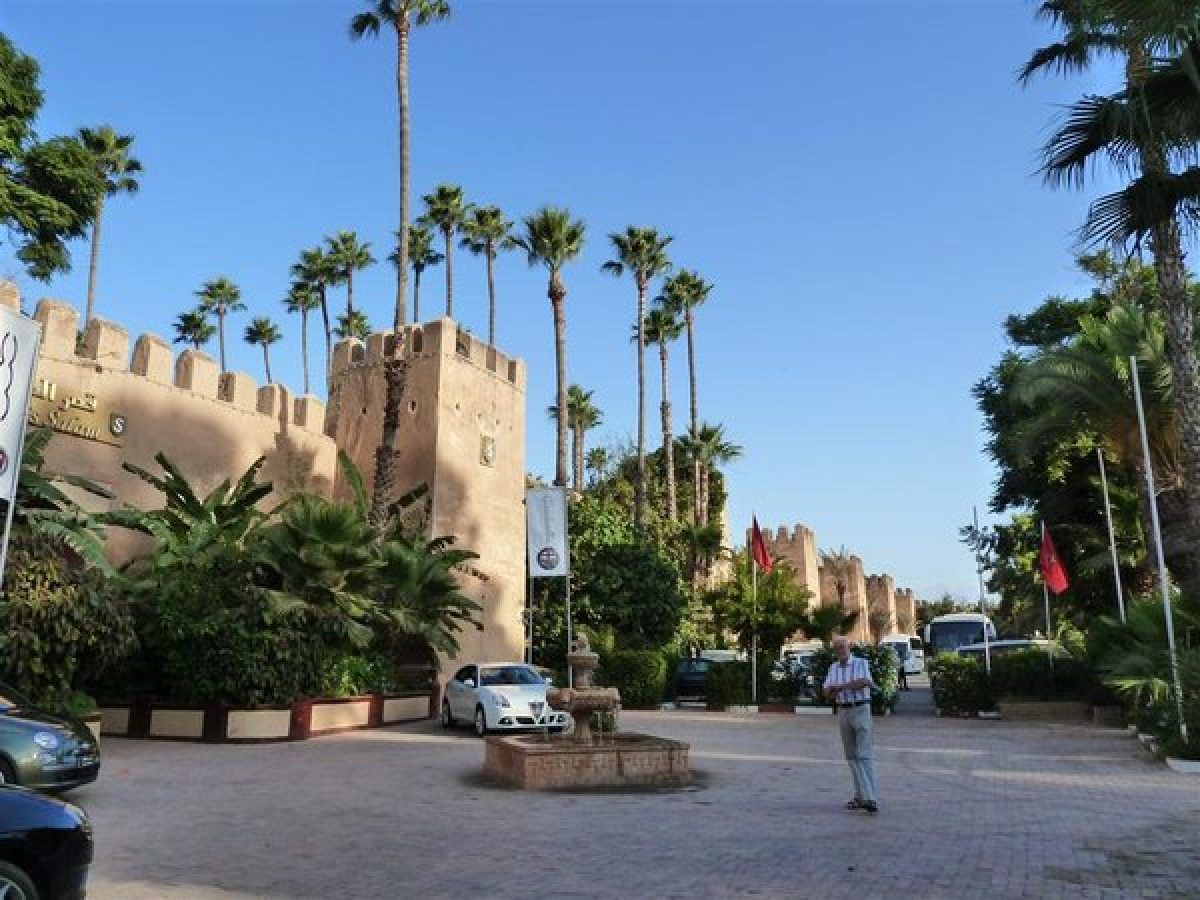 Murallas históricas de Taroudant con palmeras en primer plano durante viaje a Marruecos