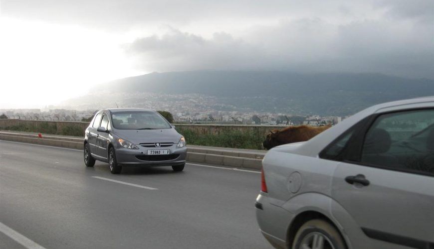 Alquiler de Coches para Viaje en Tánger: Guía Completa 2026
