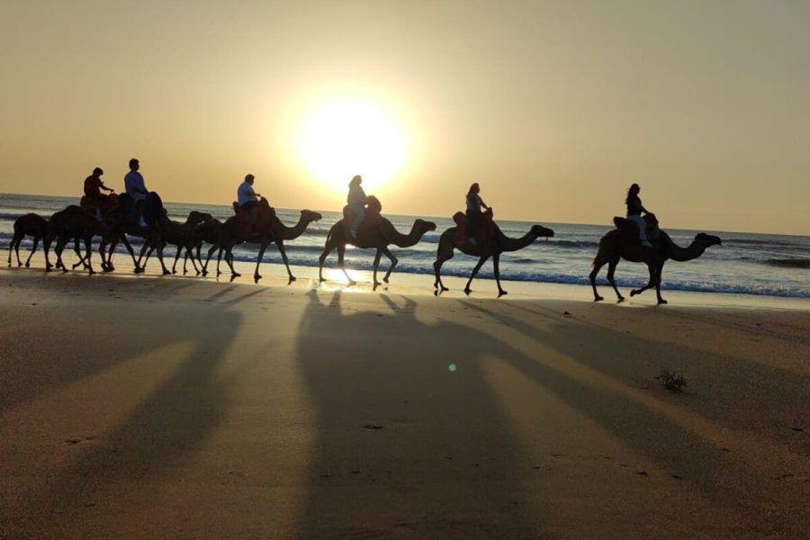 Siluetas de viajeros montados en camellos caminando por la orilla de la playa de Tánger al atardecer con el sol hundiéndose en el océano