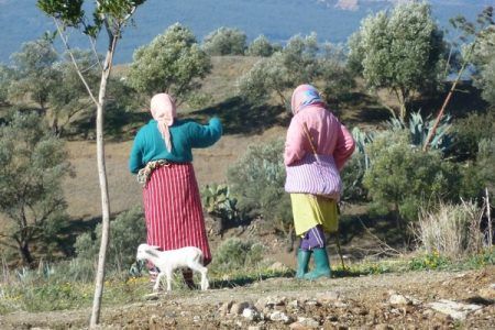 Mujeres bereberes con trajes tradicionales de colores caminando por las colinas del Rif cerca de Akchour, norte de Marruecos