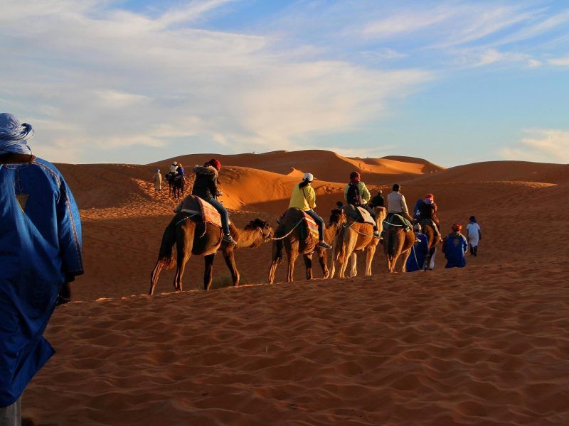 Camellos en Marruecos en los mejores circuitos por Marruecos