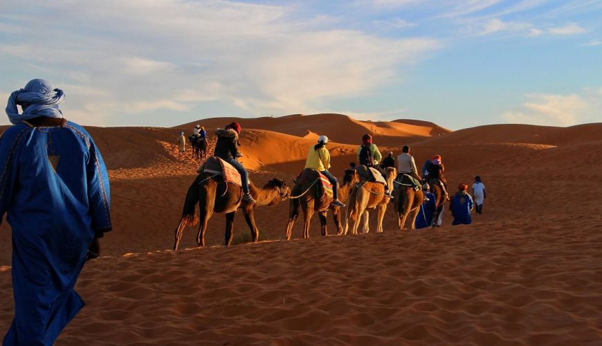 Camellos en Marruecos en los mejores circuitos por Marruecos