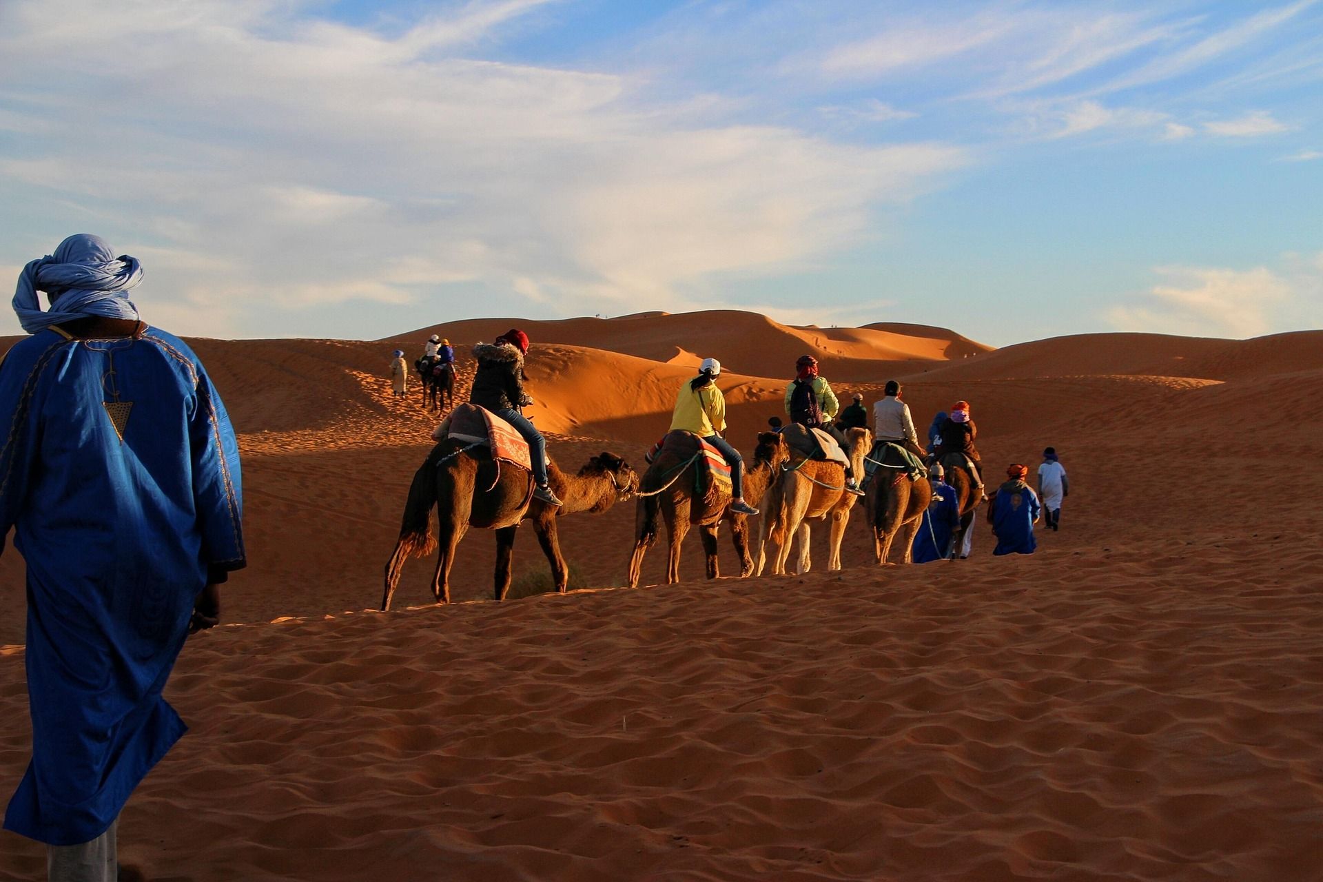 Camellos en Marruecos en los mejores circuitos por Marruecos