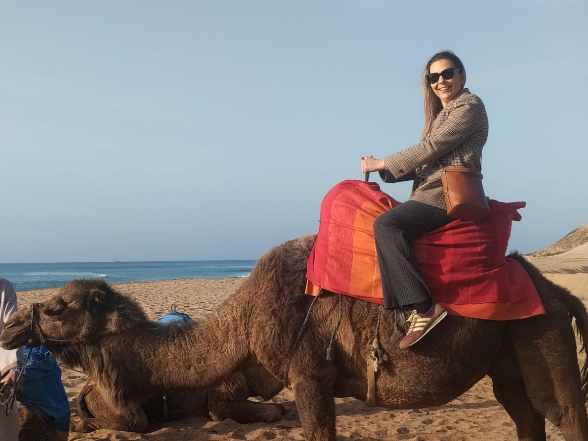 Camellos en Essaouira