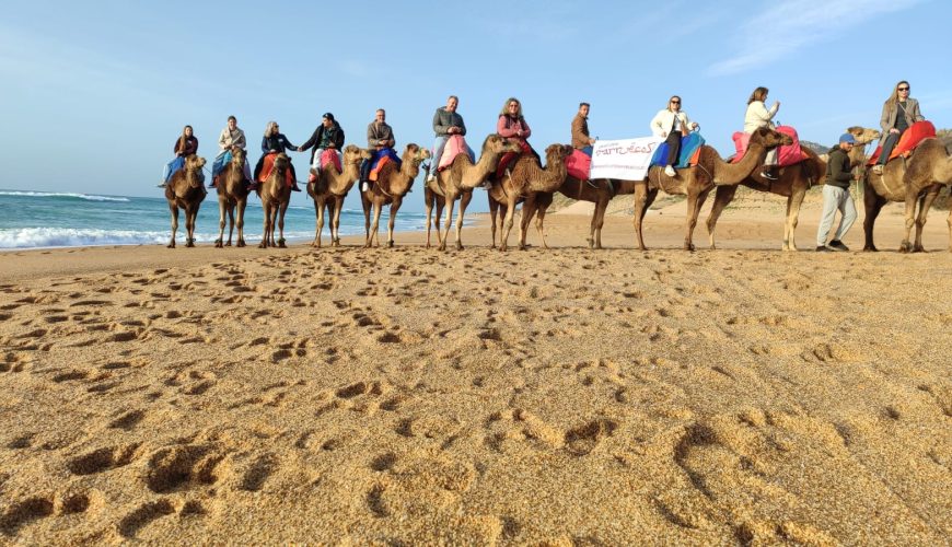 Camellos en Essaouira