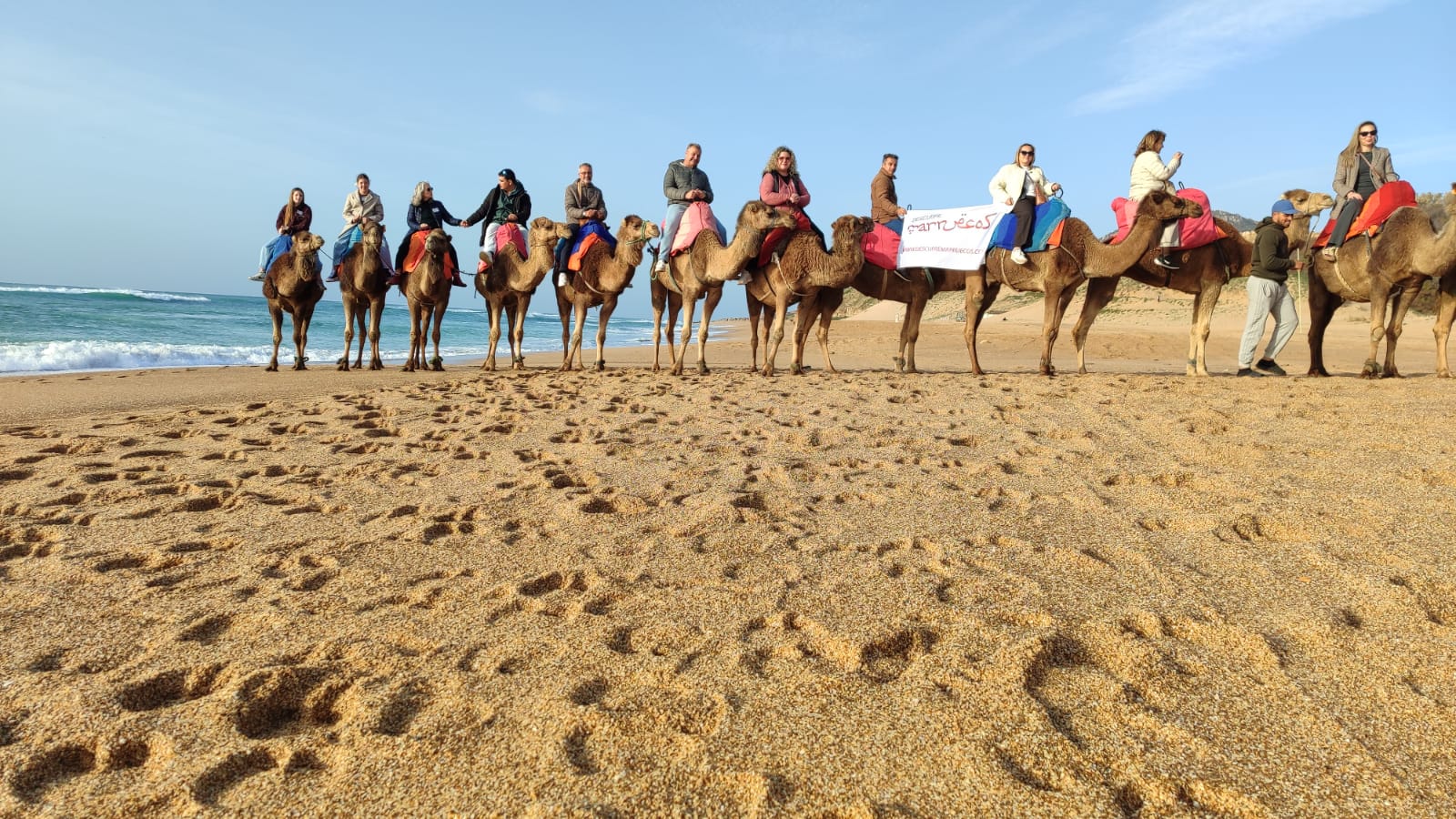 Camellos en Essaouira