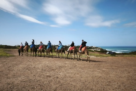 Caravana de camellos con turistas en la costa de Tánger