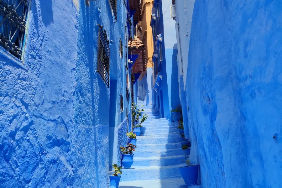Callejón estrecho con escalera azul, farol y macetas en Chefchaouen