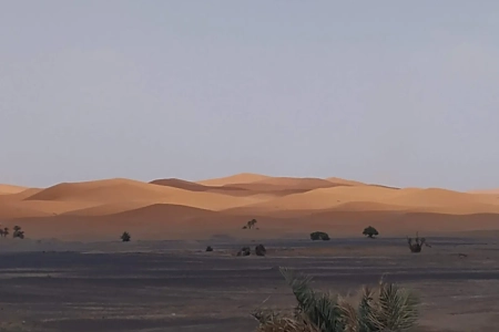 Huellas de camellos sobre la arena de una duna al atardecer en Merzouga