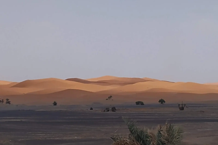 Huellas de camellos sobre la arena de una duna al atardecer en Merzouga