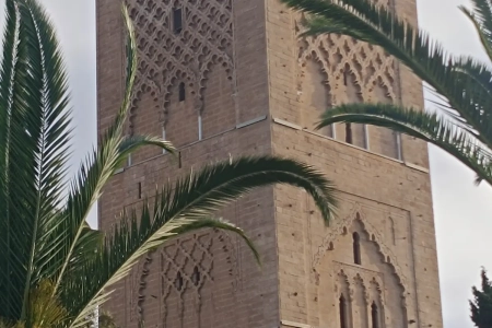 Detalle de la Torre Hassan entre palmeras, Rabat